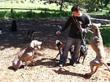 San Francisco Dog Walking Service Superdog Offers Tips for Street...